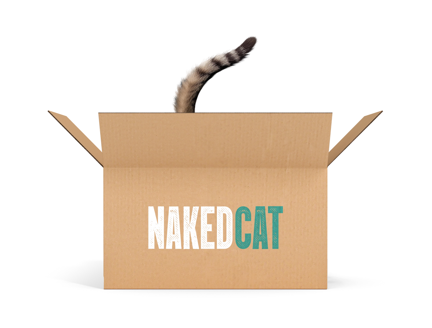 Raw Cat Food Variety Box 5kg